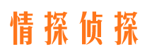 将乐市婚姻调查